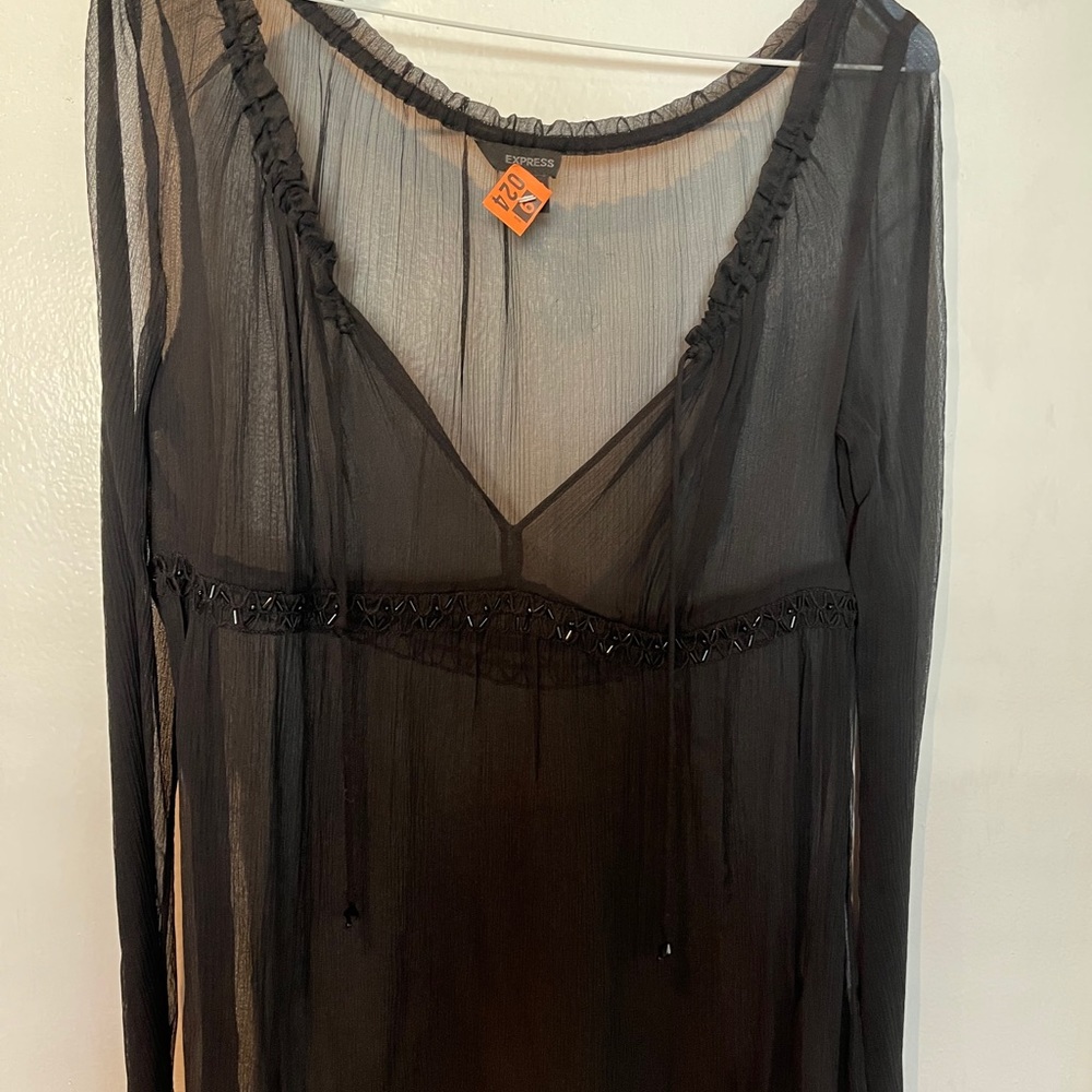 Express sheer shirt
